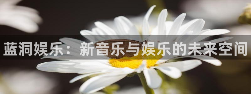 米乐yy易游m6