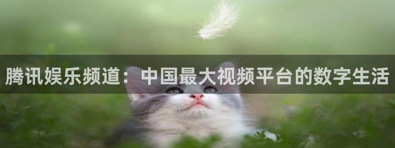 米乐yy易游网址