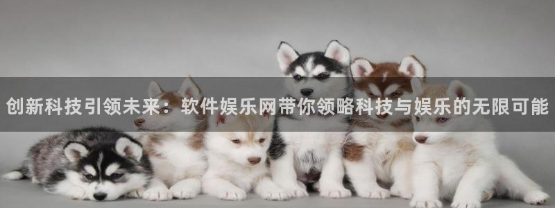 yy易游