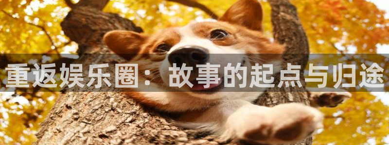 yy易游