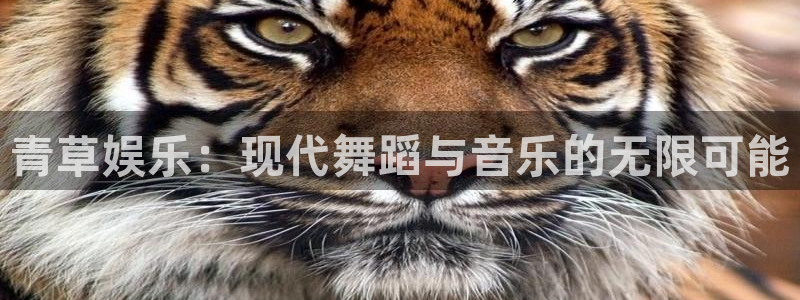 米乐yy易游网址