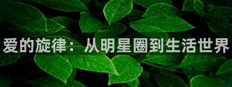 米乐yy易游m6