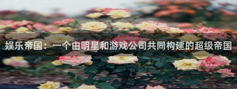 米乐yy易游