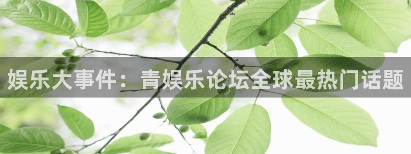 米乐yy易游m6网址