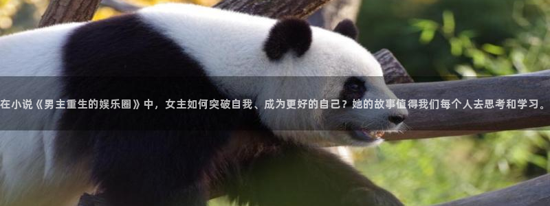 yy易游
